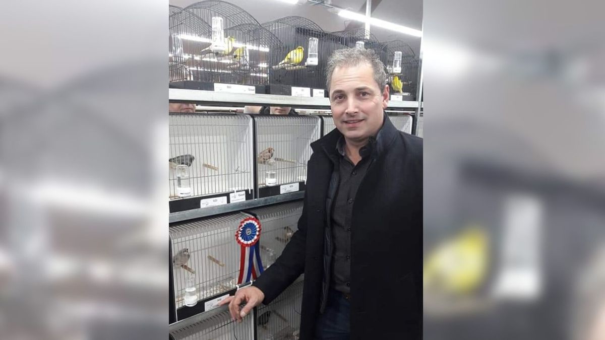 Zebravinkenkweker Jan Pastoor: 'Ik ben trots op al mijn zebravinken'