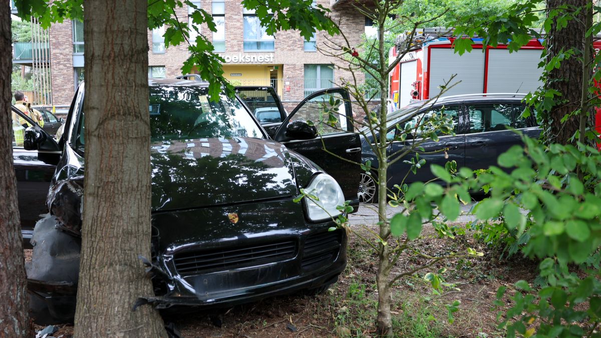 Porsche rijdt tegen boom in Zeist