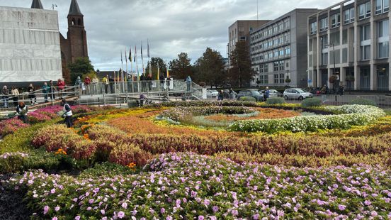 'Fleurig' kunstwerk in stukjes verdeeld onder nieuwsgierige Arnhemmers