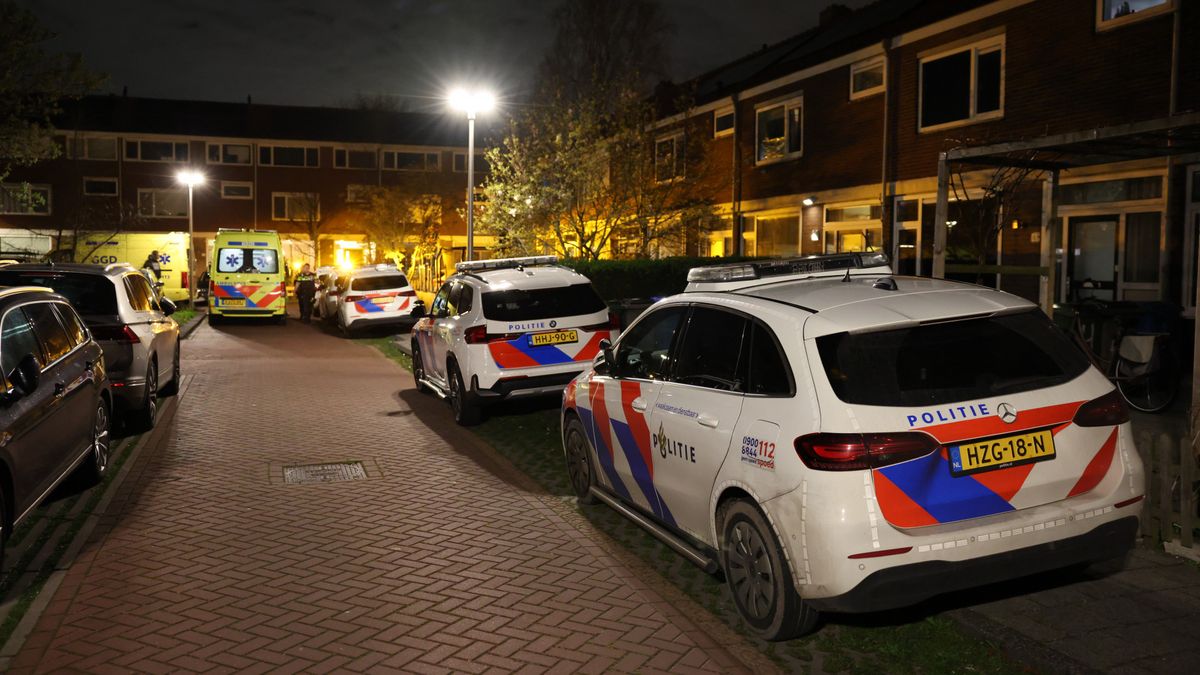 Man aangehouden na steekpartij Schipluiden