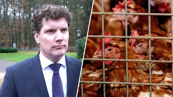 Uitbraken vogelgriep baren zorgen: 'We moeten echt gaan vaccineren'