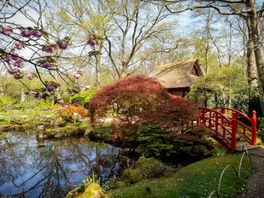 Japanse Tuin gaat bijna open en heeft dit jaar een nieuwtje