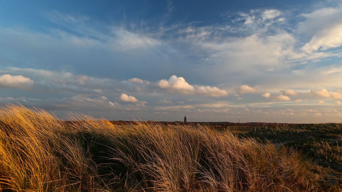Bijeenkomst volkstuinen Westkapelle: 'Eet niet 365 dagen groenten uit je tuin'