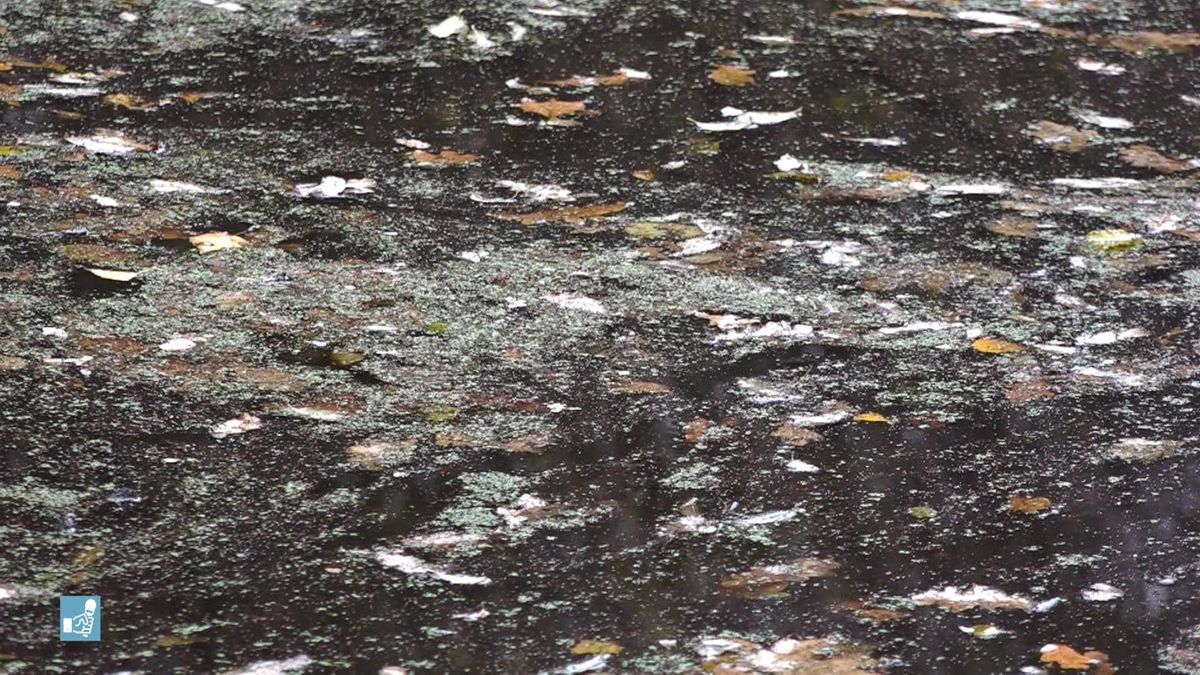 IJsbaan Gasselternijveenschemond krijgt windmolengeld