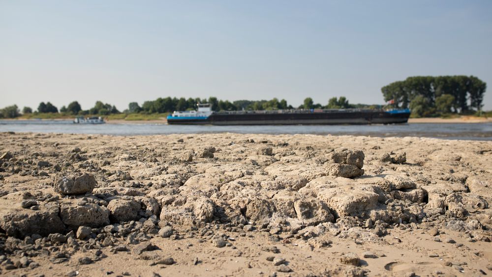 'Waterstand Rijn gaat onder record duiken' - Omroep Gelderland
