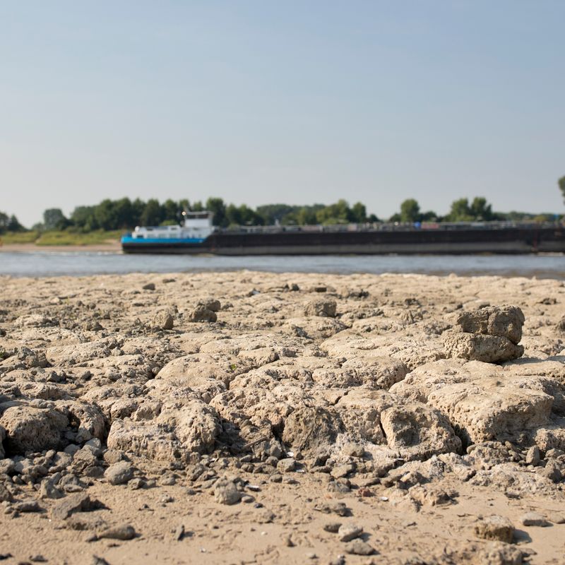 'Waterstand Rijn gaat onder record duiken' - Omroep Gelderland