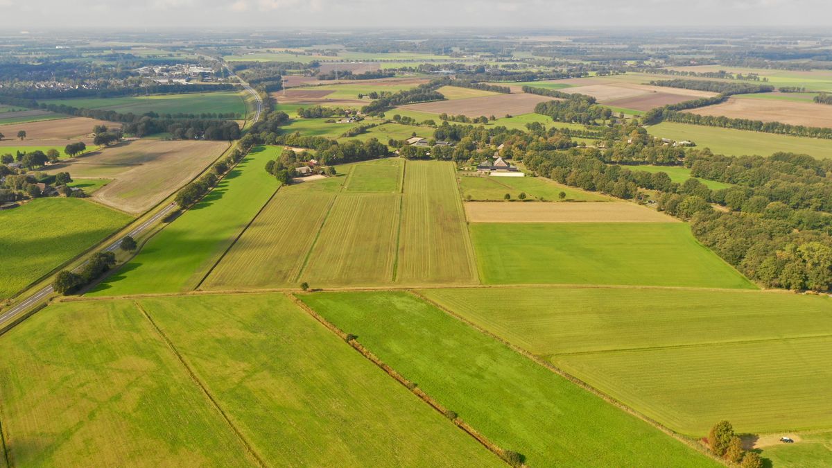 Gemeente ontkent belangenverstrengeling bij plannen voor zonnepark