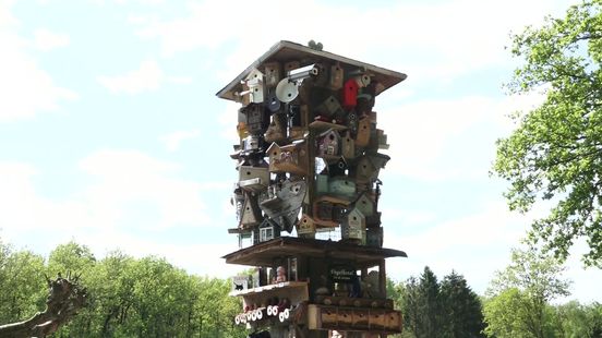 Vogels checken in in vogelhotel In de Nesten in Hollanscheveld