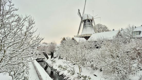 Dit zijn de mooiste sneeuwbeelden van de dag