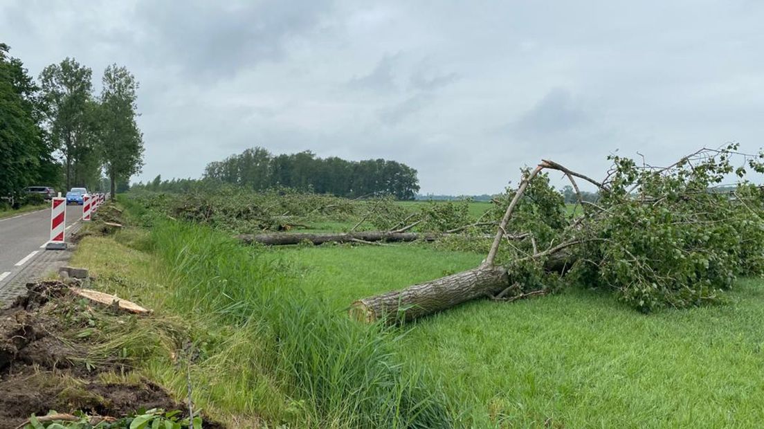 Een groot deel van de natuur rond Leersum liep schade op door de storm van 18 juni.