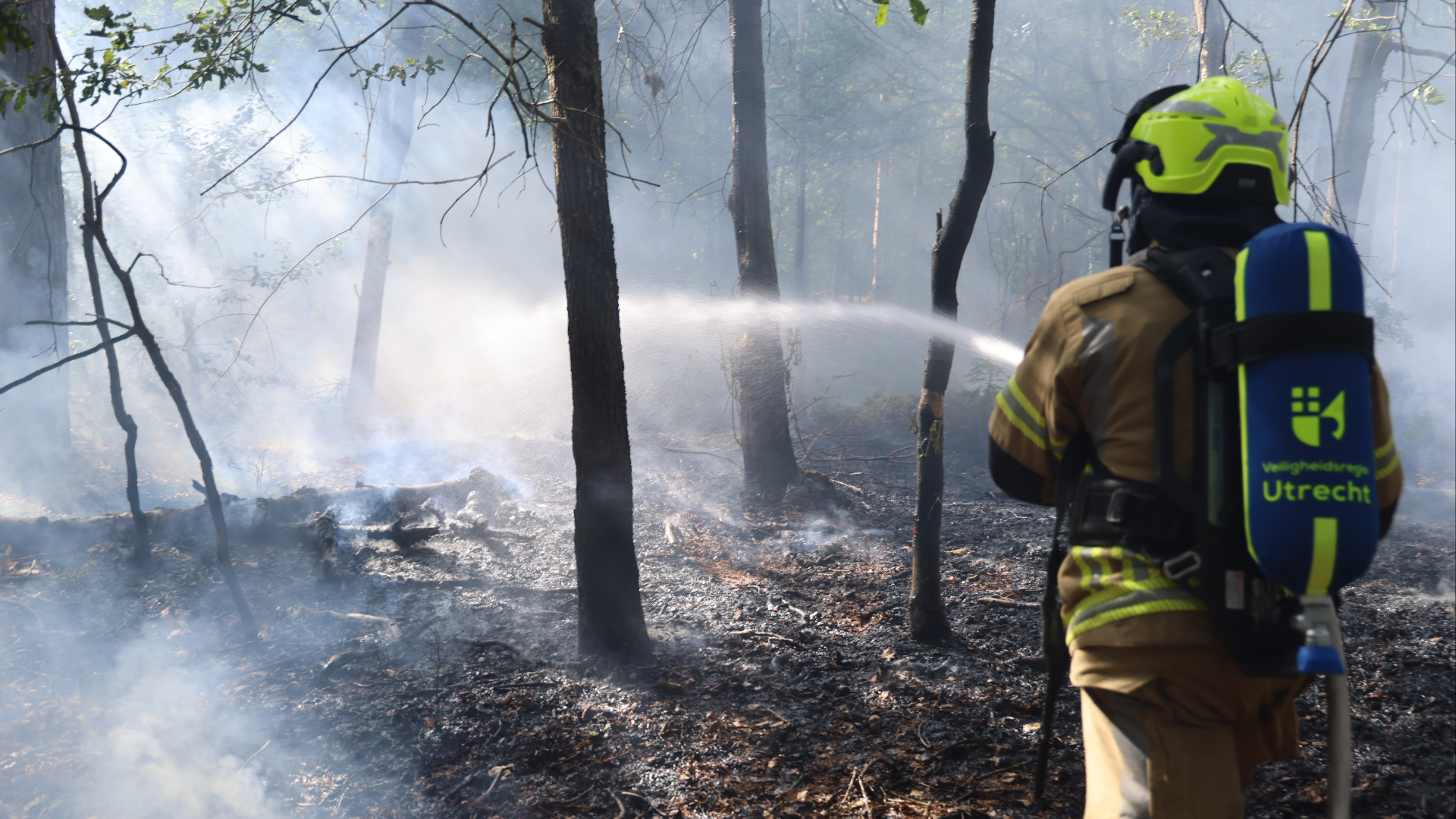 Brandweer heeft handen vol aan bosbrand bij Austerlitz: '2 hectare in brand'