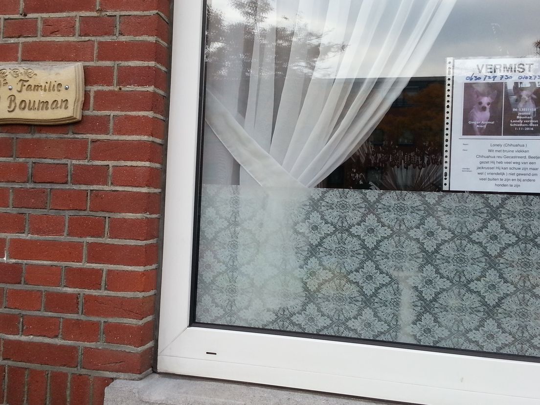 Overal in Schiedam wordt zelfs in het Russisch en andere Slavische talen met opsporing verzochtplakkaten op deuren en ramen aandacht gevraagd voor de vermissing