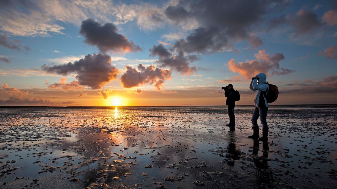 Waddenzee