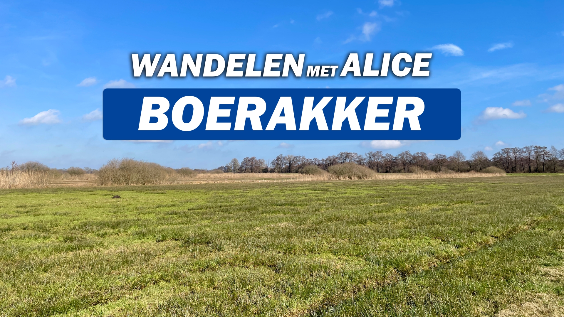 Wandelen met Alice: Boerakker