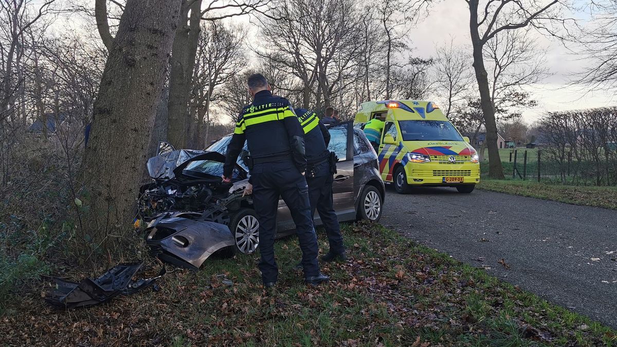 Auto knalt frontaal tegen boom in Ansen