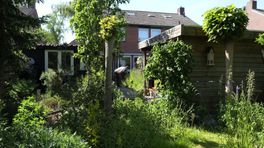 Paradijs voor nachtvlinders in Wilhelminaoord
