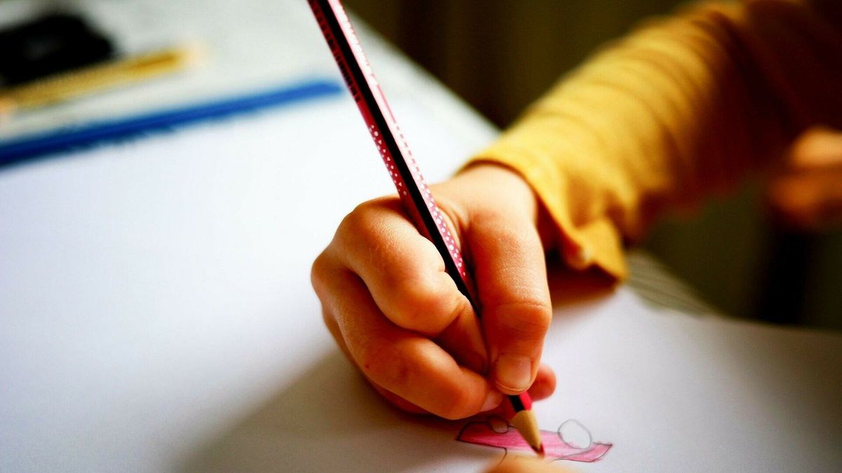Verzuimmeldingen basisonderwijs verdubbeld in Coevorden: ‘Geen reden tot zorg’