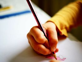 Verzuimmeldingen basisonderwijs verdubbeld in Coevorden: ‘Geen reden tot zorg’