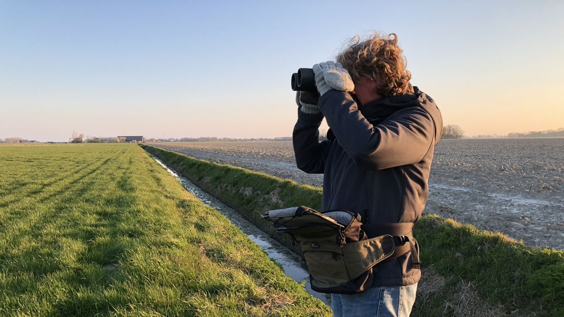 Madeleine Postma van de werkgroep Grauwe Kiekendief