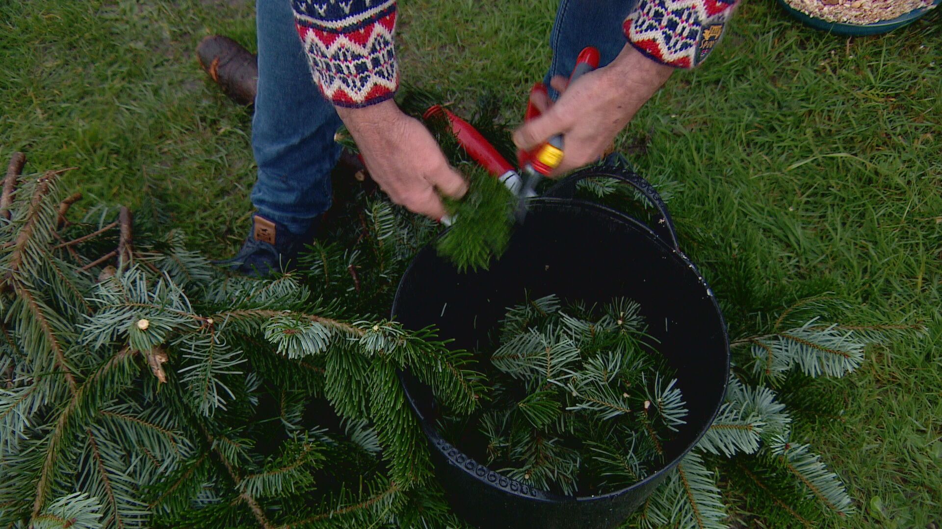 Waarom je kerstboom straks weggooien? Lees hier wat je er nog mee kunt