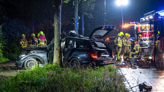 Man komt om het leven bij ongeluk in Maassluis | Agenten vangen slang in woonhuis. Man komt om het leven bij ongeluk in Maassluis | Agenten vangen slang in woonhuis.
