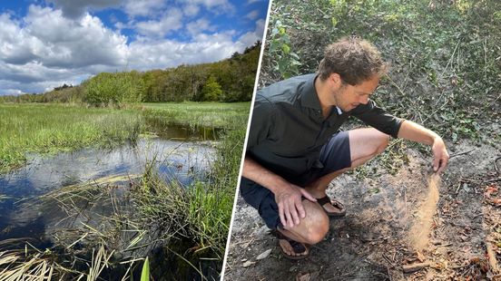Zorgen om water onder de Veluwe: ‘Het systeem begint het op te geven’