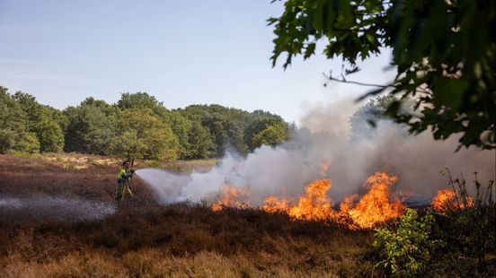 Tientallen brandweerlieden ingezet bij bosbrand in Wijchen
