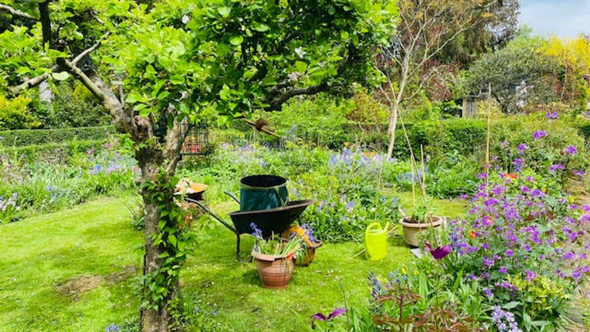 Zo'n groene tuin vind je lang niet overal in Rotterdam.