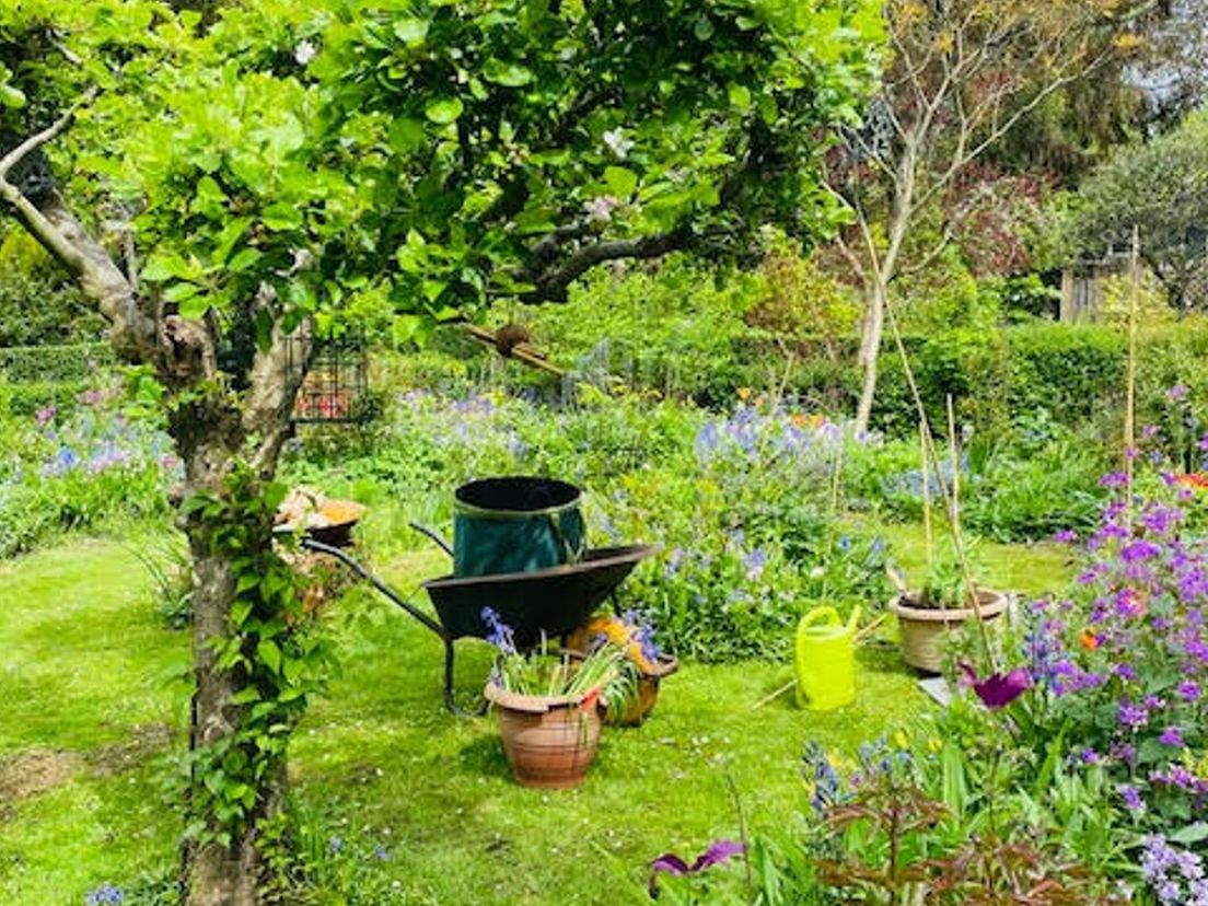 Wilde tuin op Eigen Hof in Rotterdam-Overschie