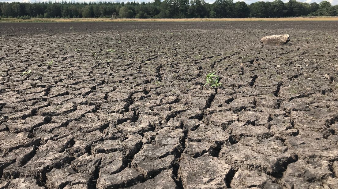 Drentse vennen steeds droger (Rechten: RTV Drenthe/Marcel Drent)