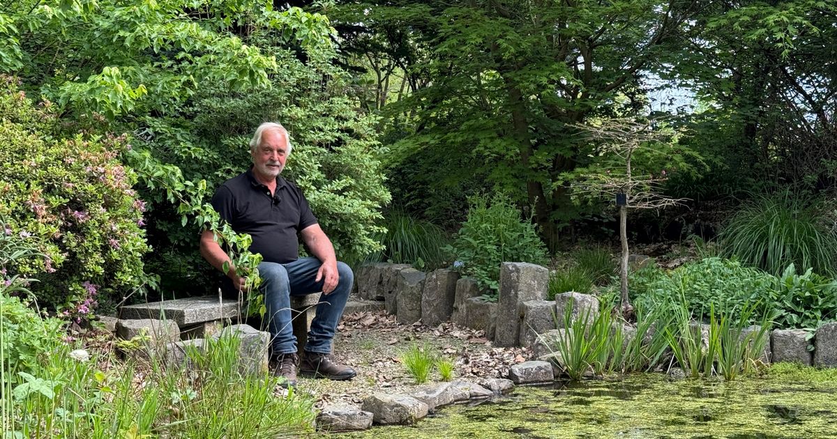 Wiechers droomtuin in Gasselte groeit als kool, maar mag dat wel van de