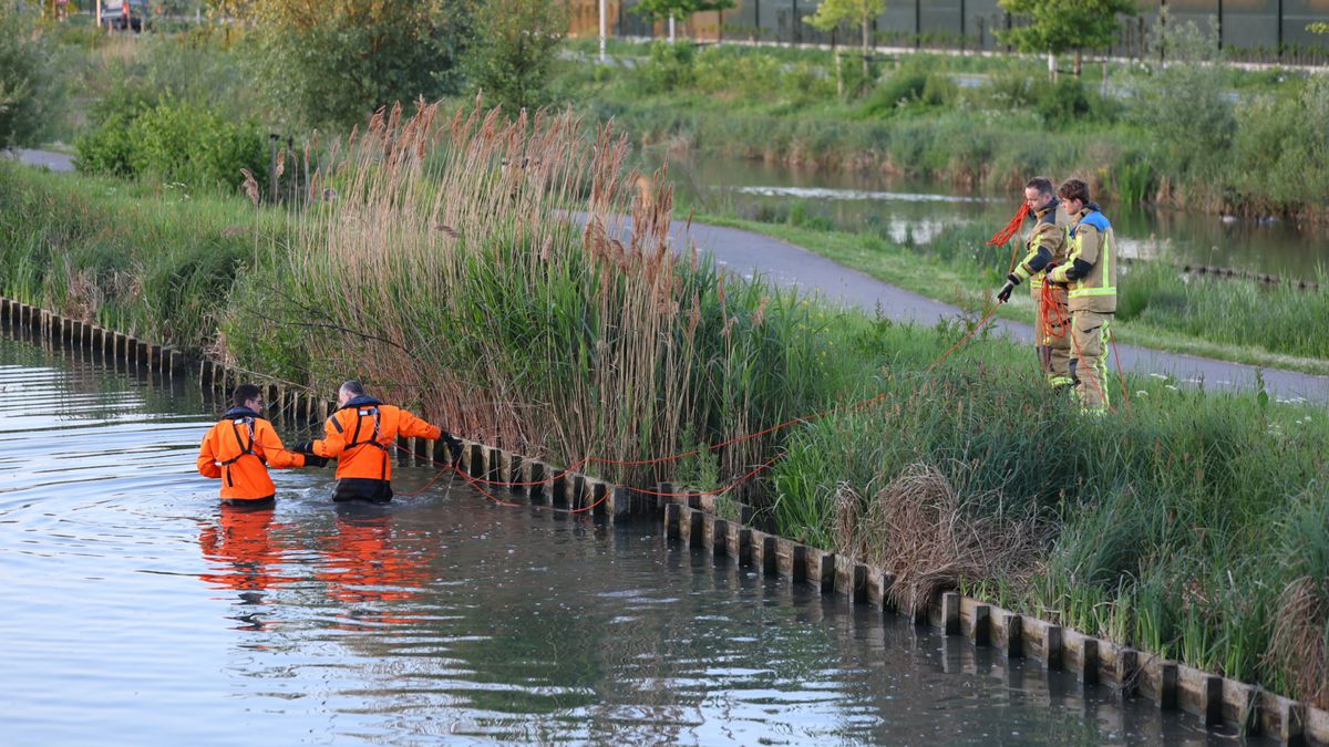Drenkeling blijkt vroege zwemmer, duikers voor niks op zoek in sloot