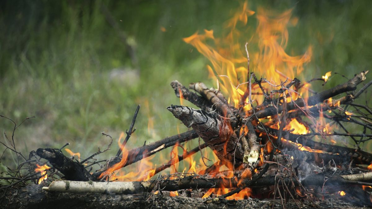 Alarm voor bosbrand aan A73 Oostrum
