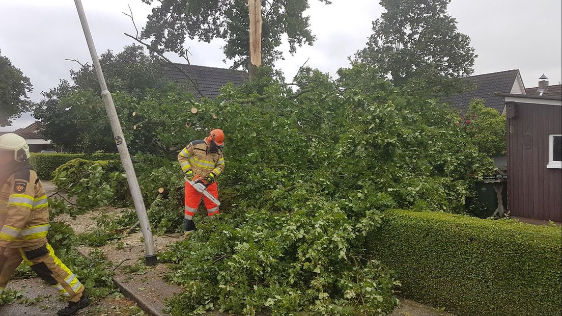 In Dedemsvaart waaide een boom op een kippenhok