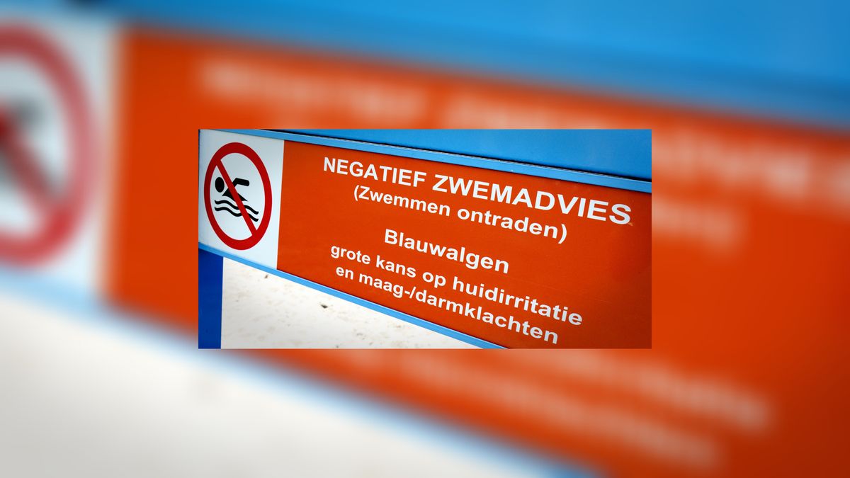 Blauwalg bij Langweer + Elahuizen, waarschuwing Balk voorbij