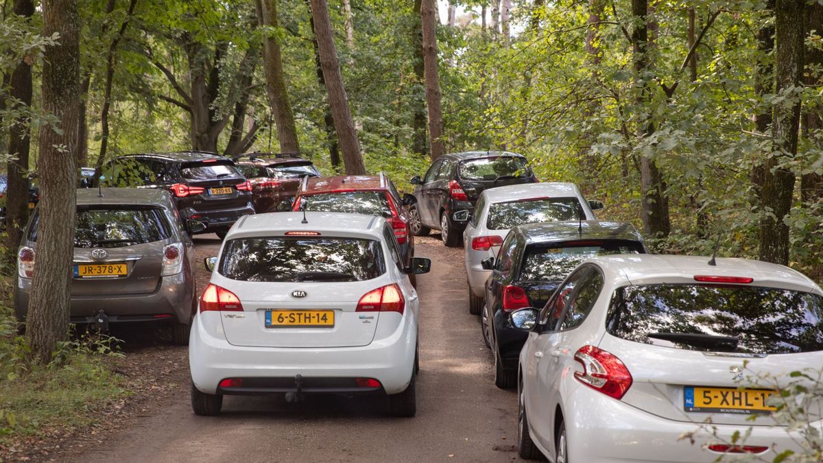 Gemeente vindt het te druk in Lage Vuursche en roept dagjesmensen op weg te blijven