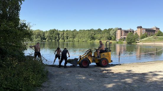 Groene drab weggehaald uit zwemplas na klachten van zwemmers Home