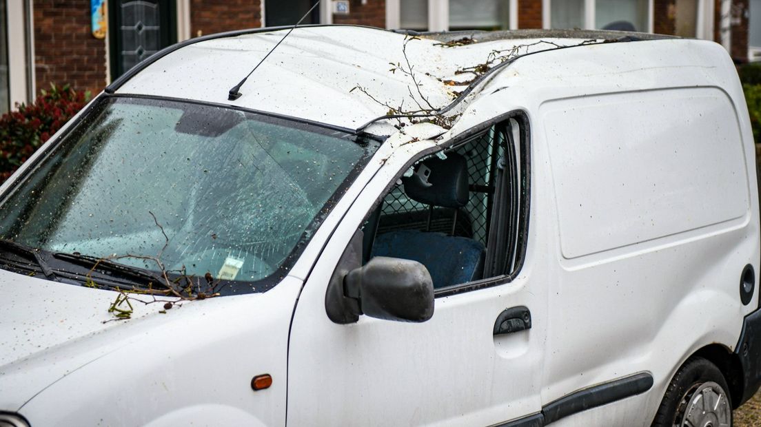 Boom op bestelbus in Alphen aan den Rijn