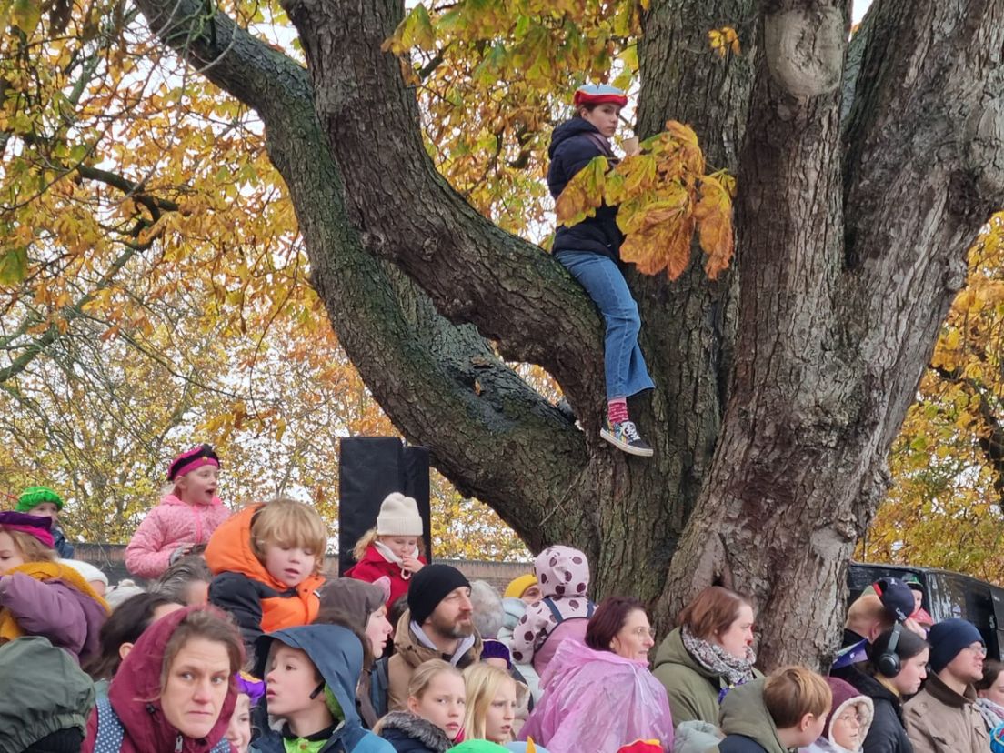 In de boom klimmen om Sinterklaas te kunnen zien