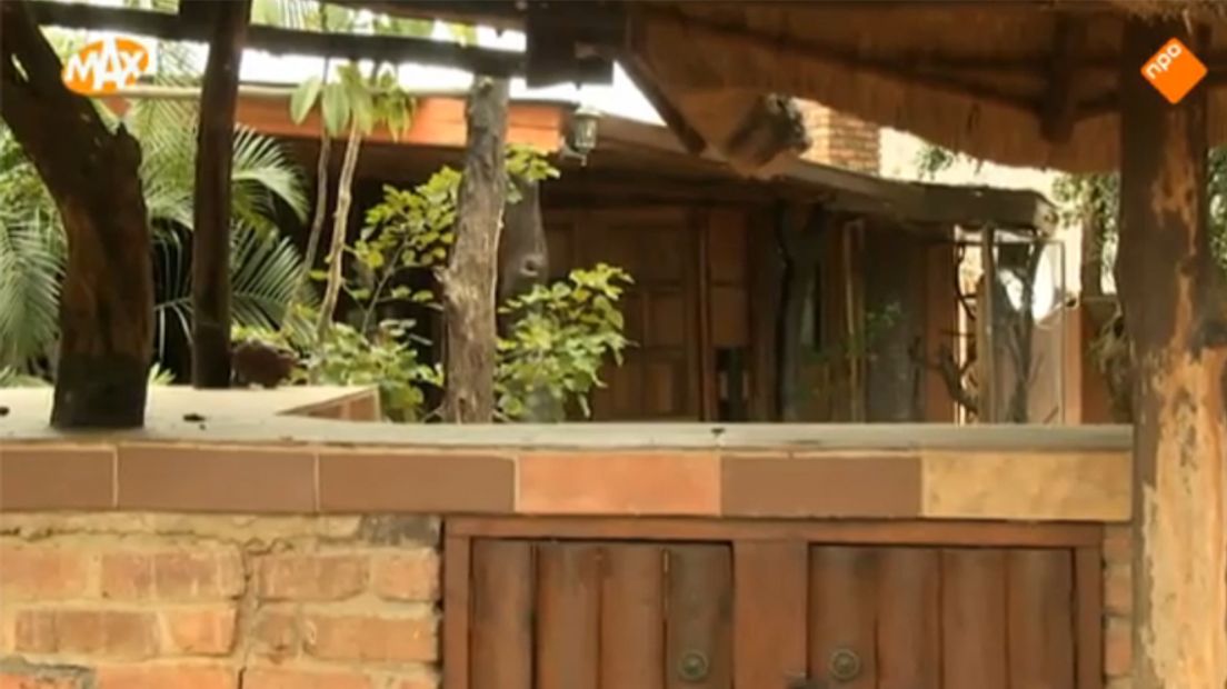 De Cheetah Safari Inn Lodge in Zuid-Afrika (screenshot: Omroep Max)