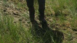 Bargerveen lijdt onder droogte