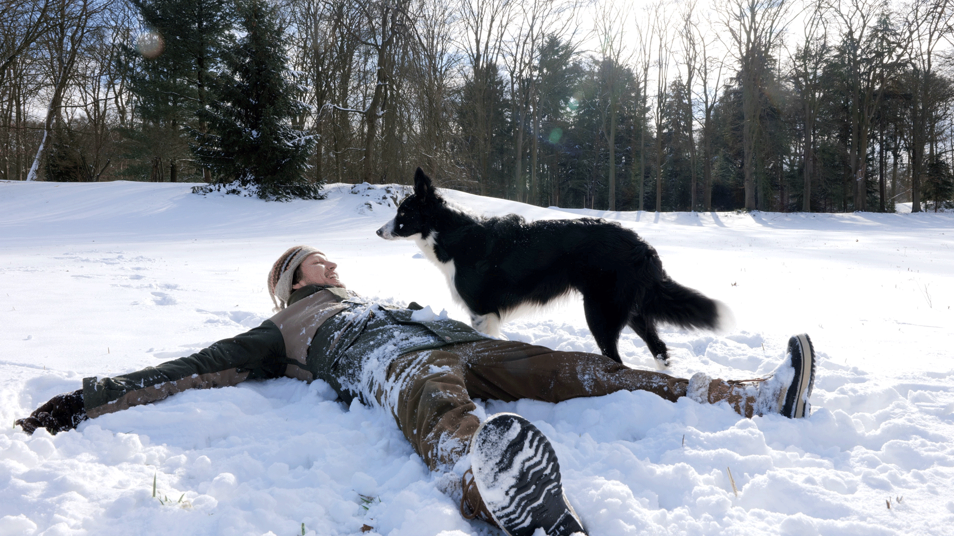 Ontdek de kracht van echte loyaliteit in de DocU Hondstrouw