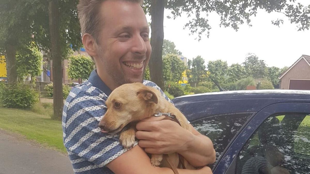 Blijdschap in Zwolle: vermiste hond Kunga na twee weken weer terug