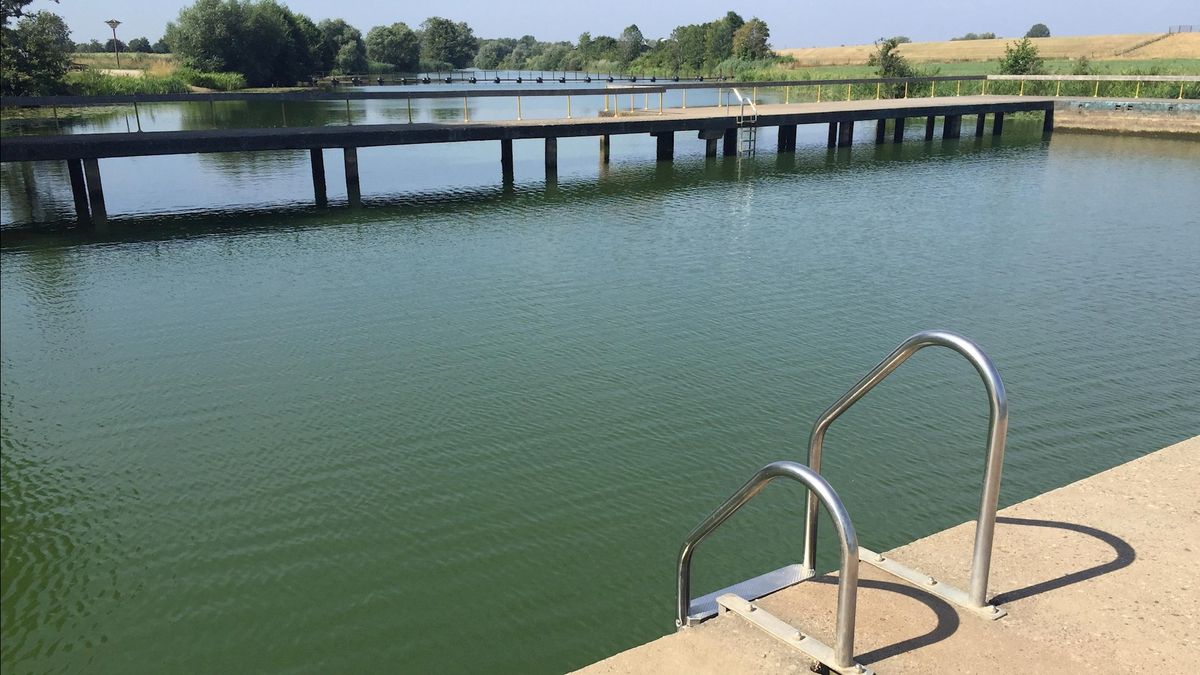 Als de zomer zindert, kleurt De Lange Kolk bij Den Nul groen door blauwalg