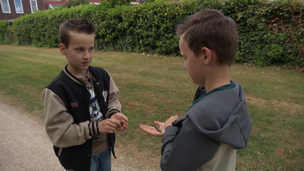 Tweelingbroers uit Oost-Souburg doen een bijzondere ontdekking op schelpenpad