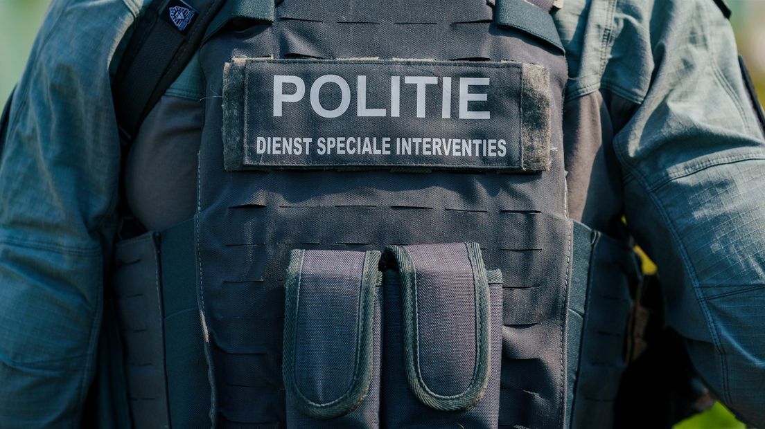 Dienst Speciale Interventies