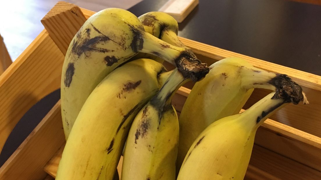 Fruitvliegjes zijn dol op de geur van rottend fruit