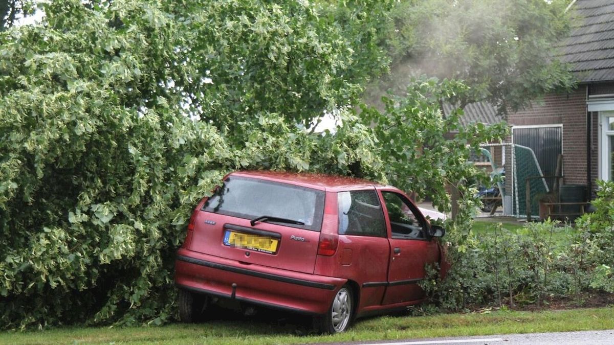 Automobiliste gewond na botsing tegen boom in Daarle