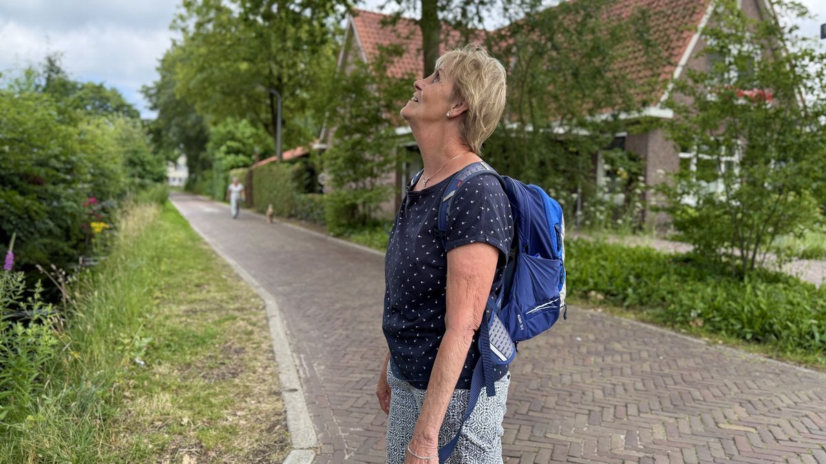 Jeannette (75) uit Meppel haalt vijftig keer de eindstreep van de Nijmeegse Vierdaagse: 'Dan is het 