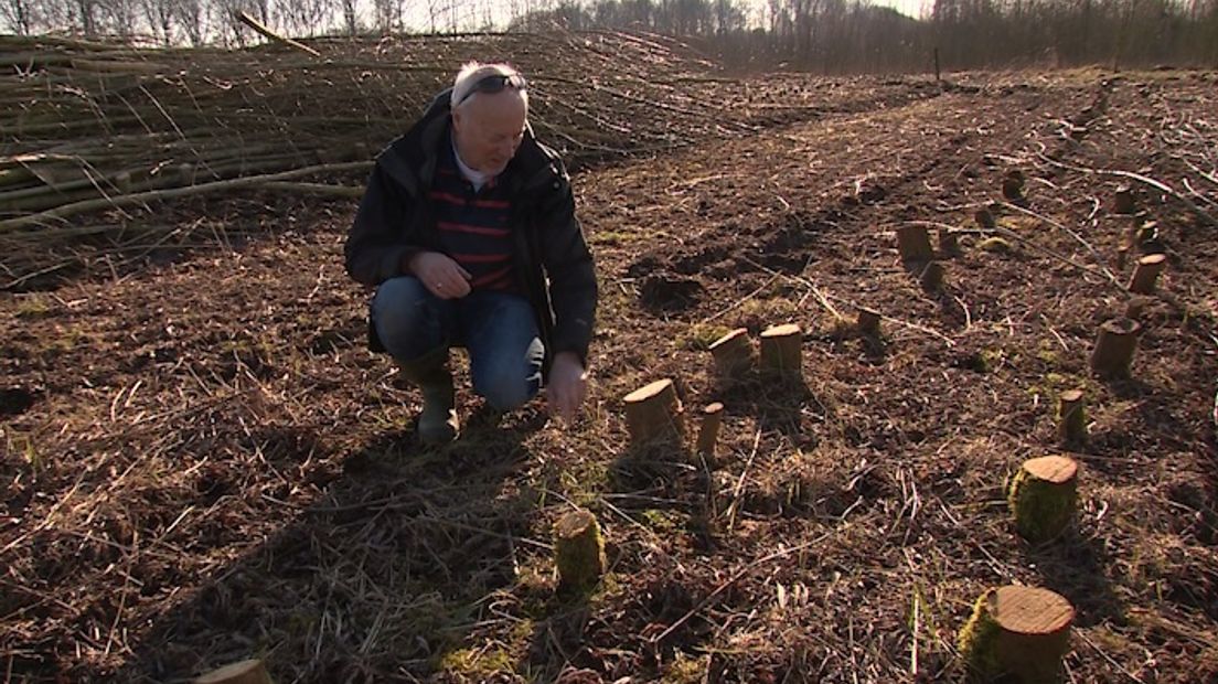 Groen opgewekte energie in Gelderland is helemaal niet zo groen. Bij het percentage groene energie wordt namelijk ook de warmte van houtkachels gerekend. En dat is 38 procent van het totaalpercentage groene energie. Dat zegt Klimaatverbond Nederland, uit Arnhem.